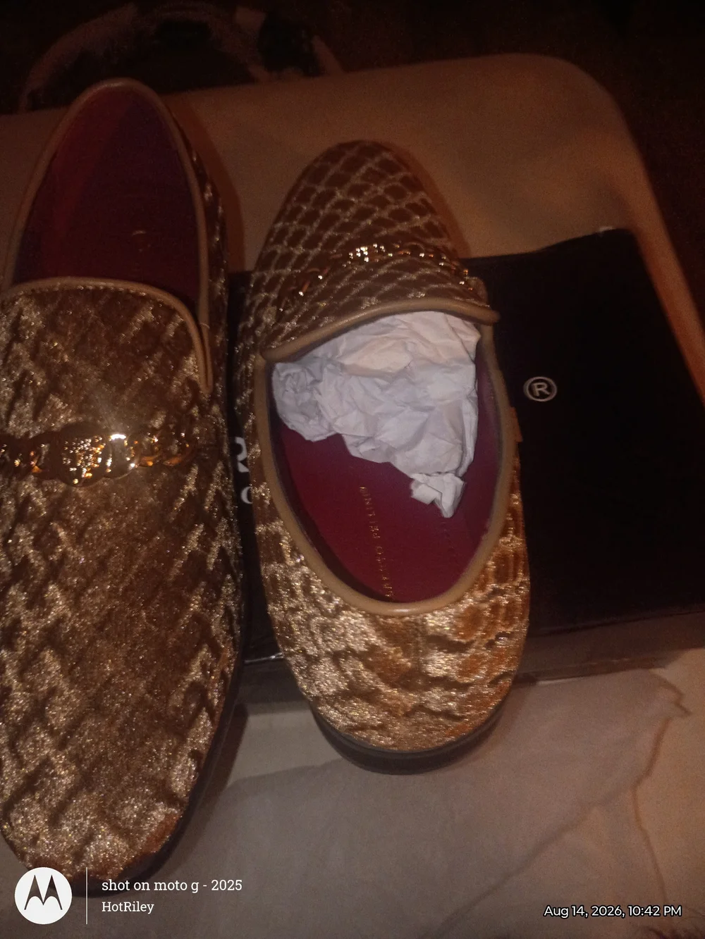 Alberto Fellini men size
